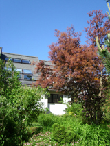 Die Immobilienmakler in Stuttgart und Nagold
