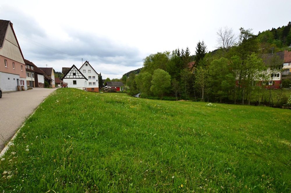 Seitenansicht